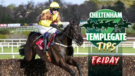 best cheltenham tips|Cheltenham Tips .